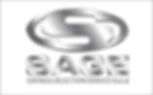 sage automotive group.jpeg