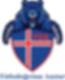 FDE Logo (Clear) (PNG) No Outline.png