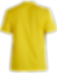 Shirt Yellow.png