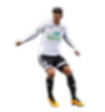 Palsson FH.png