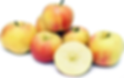 gala apples.png