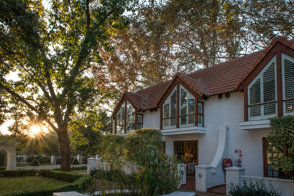 Gallery Irene Centurion