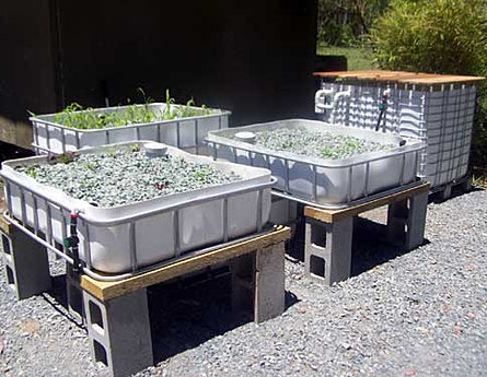  Aquaponics DIY IBC/Toteponics Kit system, used with permission