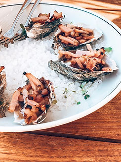 Oysters on plate