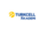 Turkcell_Akademi-YeniLogo-01.jpg