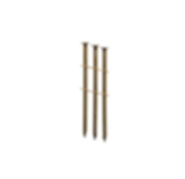 FANC3131 - PP.JPG