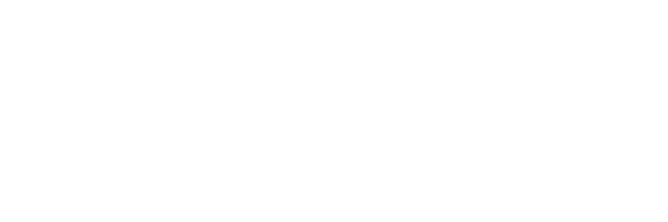 lineaAsset 5.png