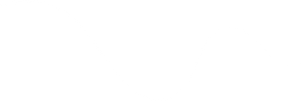 linea2Asset 4.png