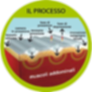slimbelly-processo.png