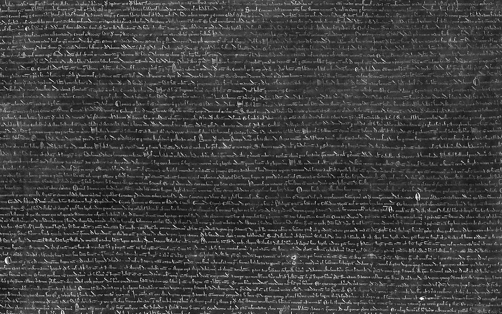 MAGNACARTA_0002.jpg