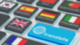the-amazing-wordpress-multilingual-plugi
