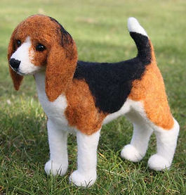 Beagle készlet