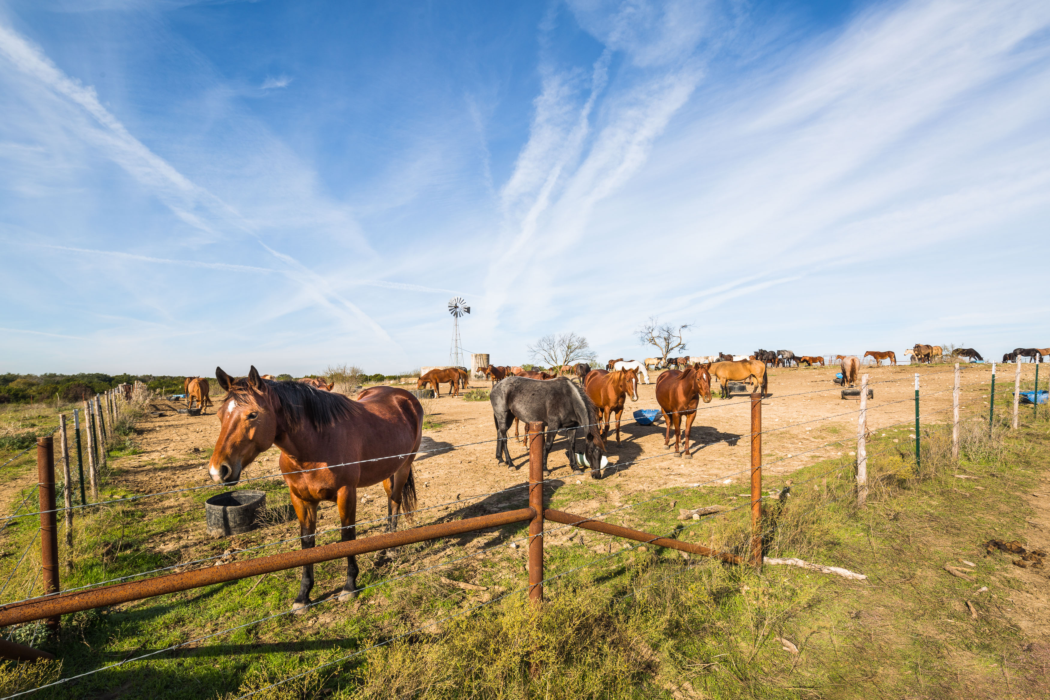 Wagon Wheel Ranch Lampasas, TX Icon Global Group