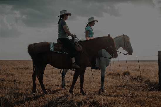 equus-banner.png