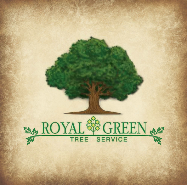 green tree servicing