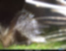 I__00006.JPG