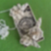 20181008_140705.jpg