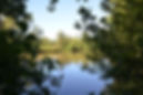 DSC_8902.jpeg