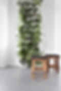 verticale beplanting Thomashuis Oosterhout