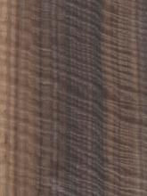 eucalyptus qtrd fig fumed broken fiddleback