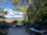 IMG_7329.jpeg