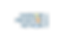 COPN logo - transparent.png