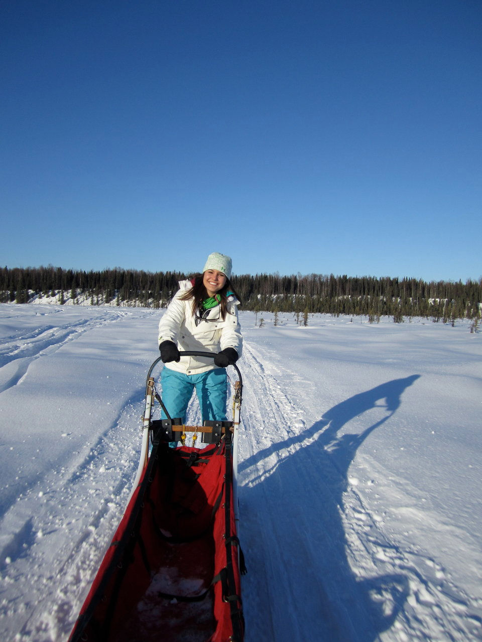 Sled Dog Rides and Tours in Anchorage, Alaska