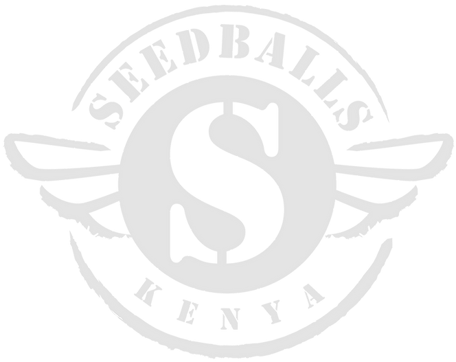 Seedballs Kenya Logo 2018--_edited.png