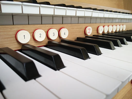 BSC organ.jpg