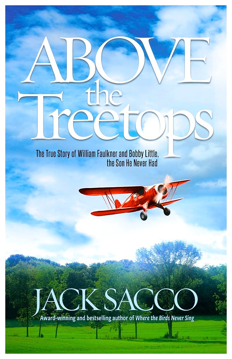 Image result for above the treetops jack sacco