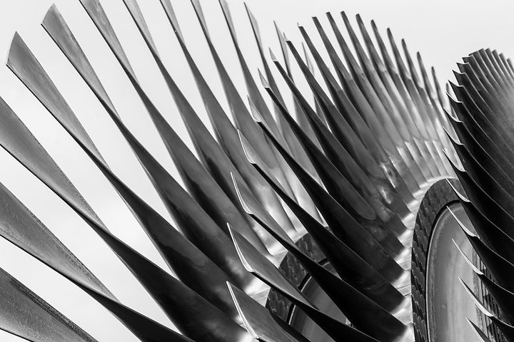 AdobeStock_184498627.jpeg