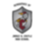 CHS Academy Entire School Logo.png