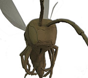 cardboard wasp