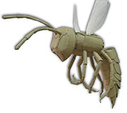 cardboard wasp