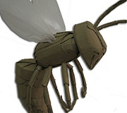 cardboard wasp