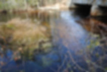 Cedar Creek Weir 112012 (1).JPG