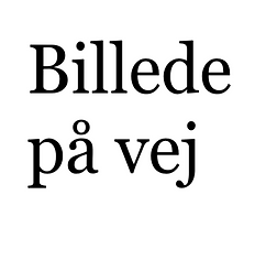 Ikke-navngivet.png