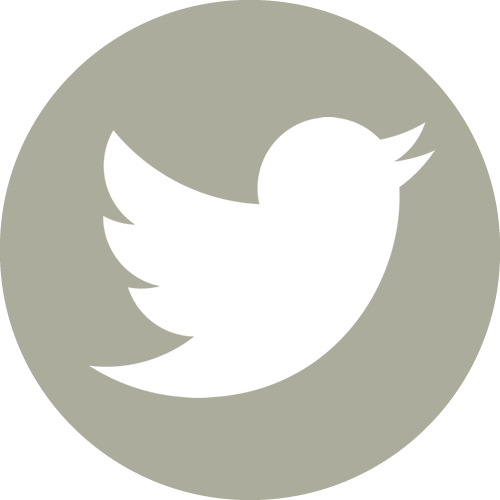 siguenos en Twitter