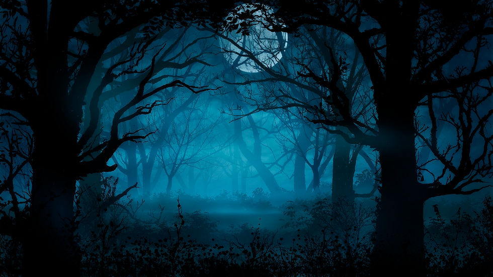 Dark Night forest (9).jpg