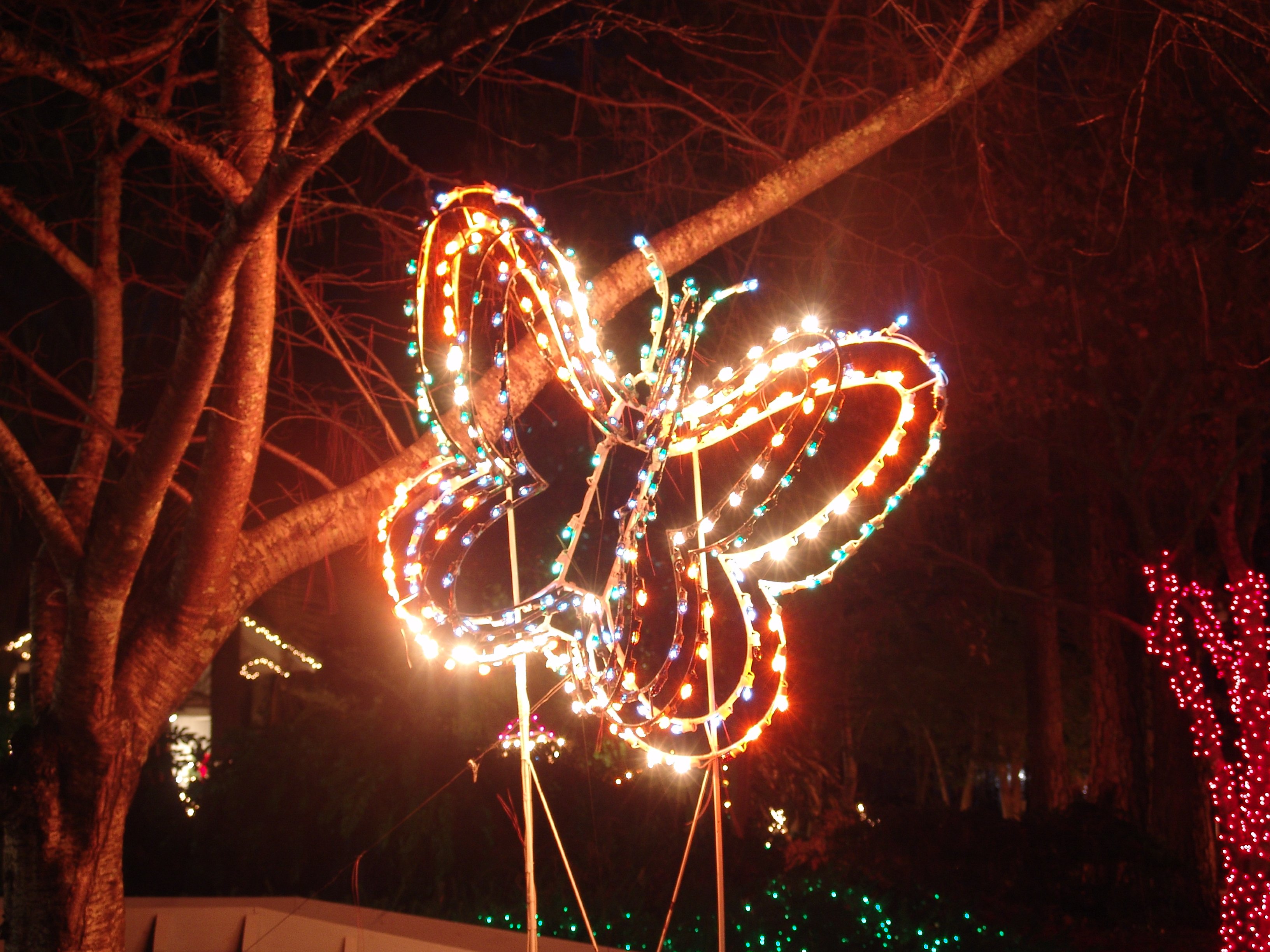 Nights of Lights at Guido Gardens