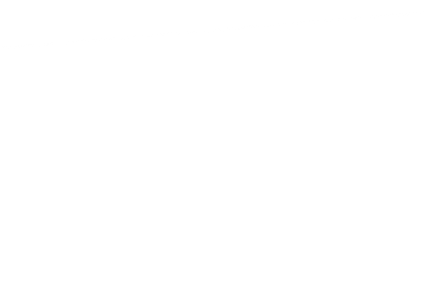 topslnt1.png
