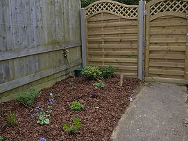 Garden rear 1_1R.JPG