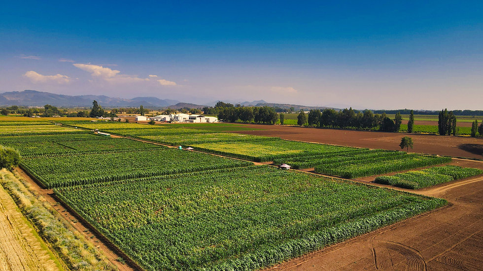 DJI_0514.jpg