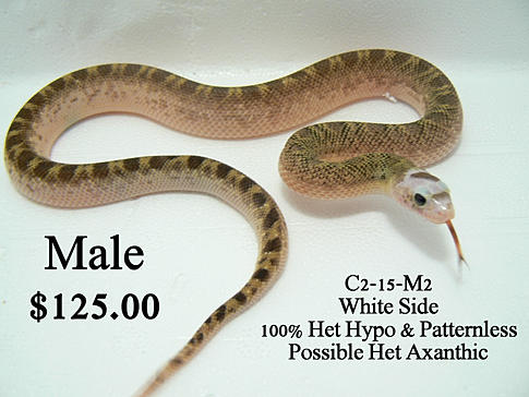 7a9286_8cf735a926d945c99aa4f51bd21e9d09.jpg_srz_p_485_364_75_22_0.50_1.20_0.00_jpg_srz