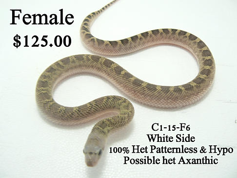 7a9286_f8eca466c8d649019ebb8a1f4f4b9bac.jpg_srz_p_486_365_75_22_0.50_1.20_0.00_jpg_srz