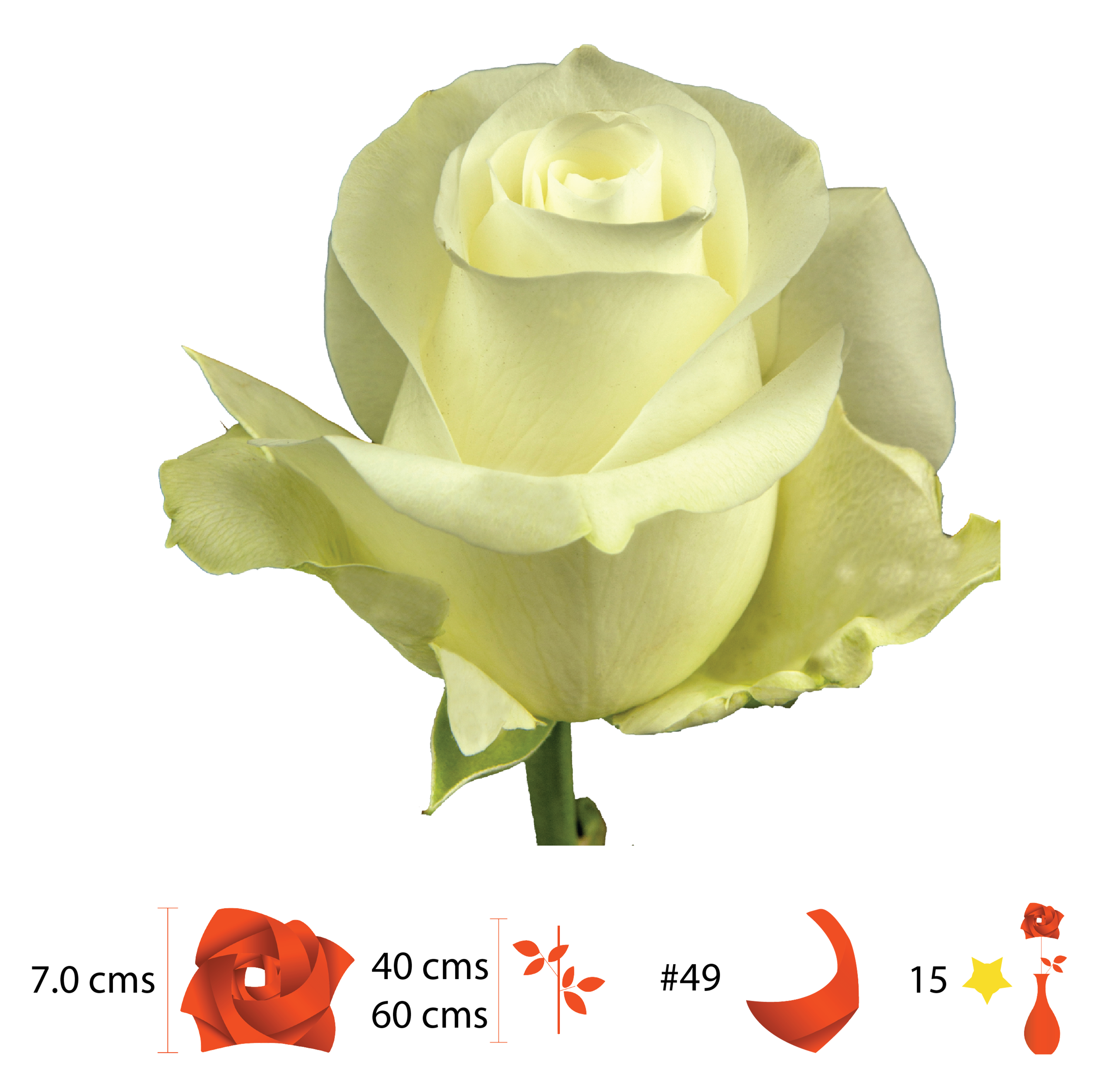 thuisarts artrose