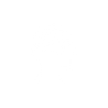 sampietro_icon_atitude-01.png