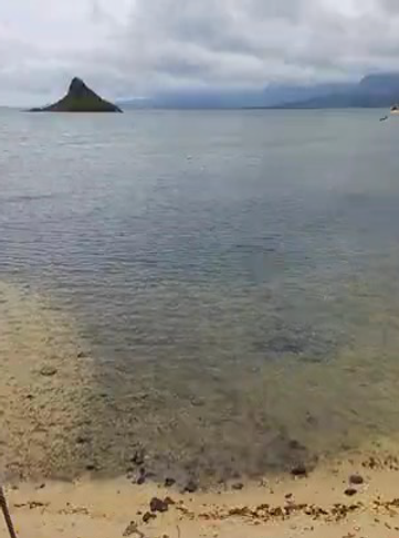beach.png