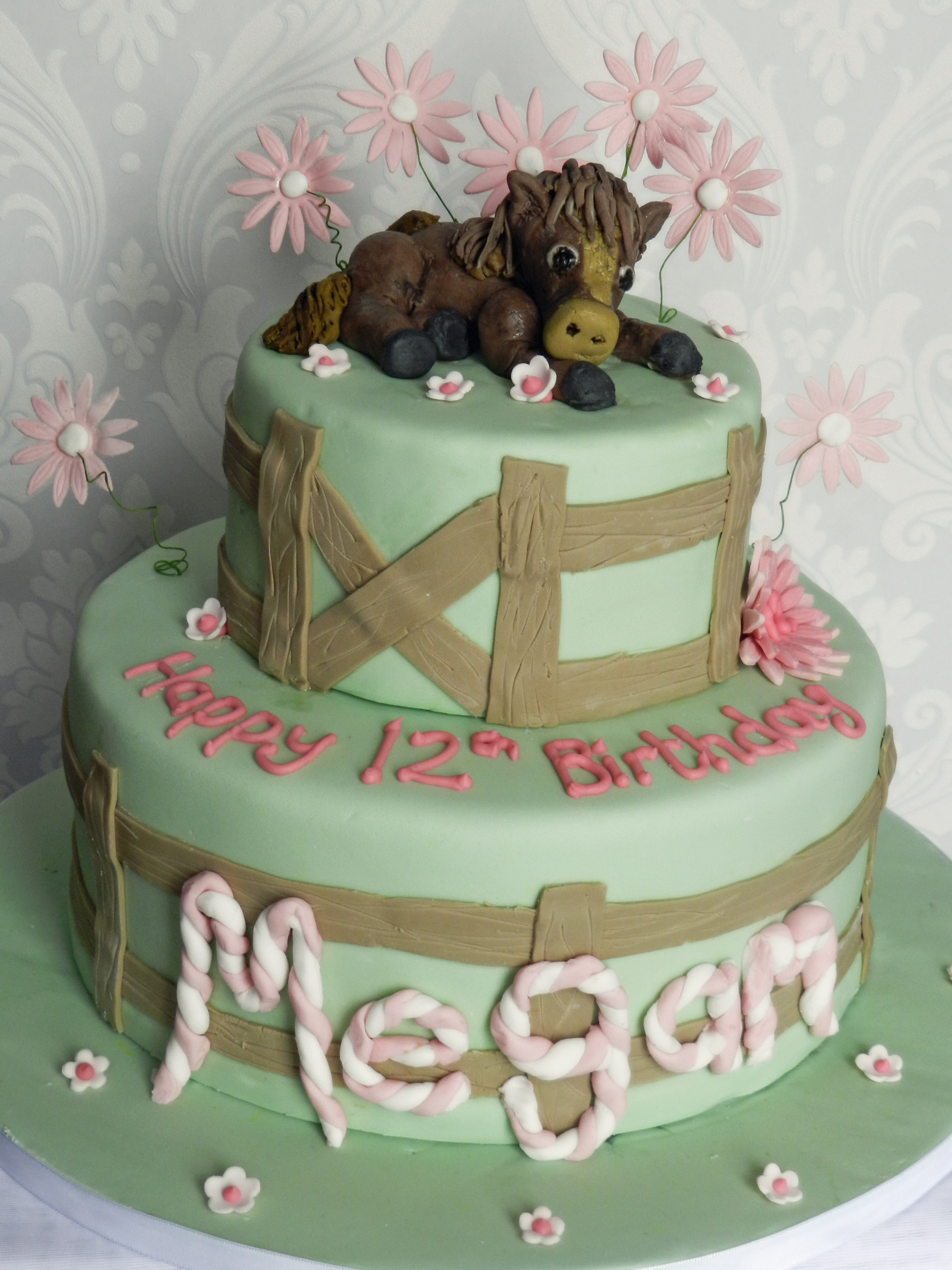 Short notice cake 12 year old girl's horse themed