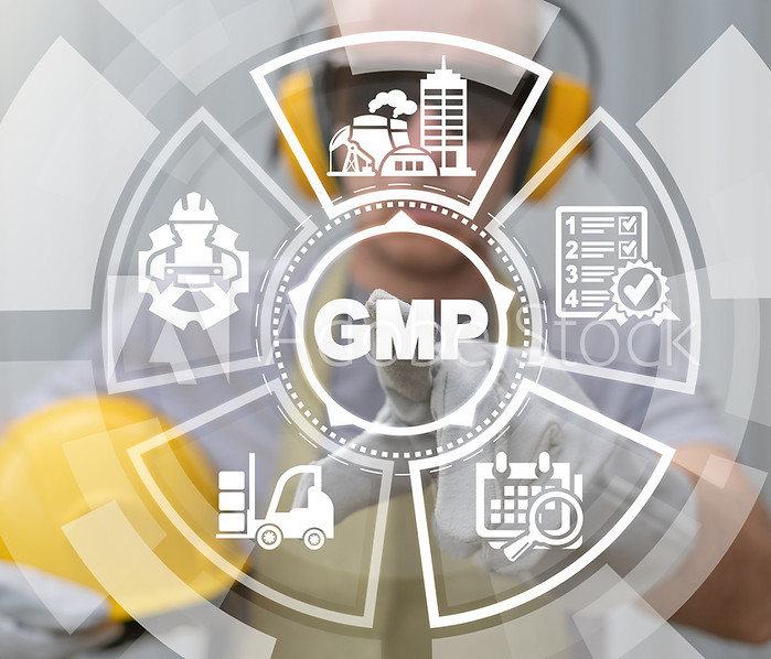 GMP.jpeg